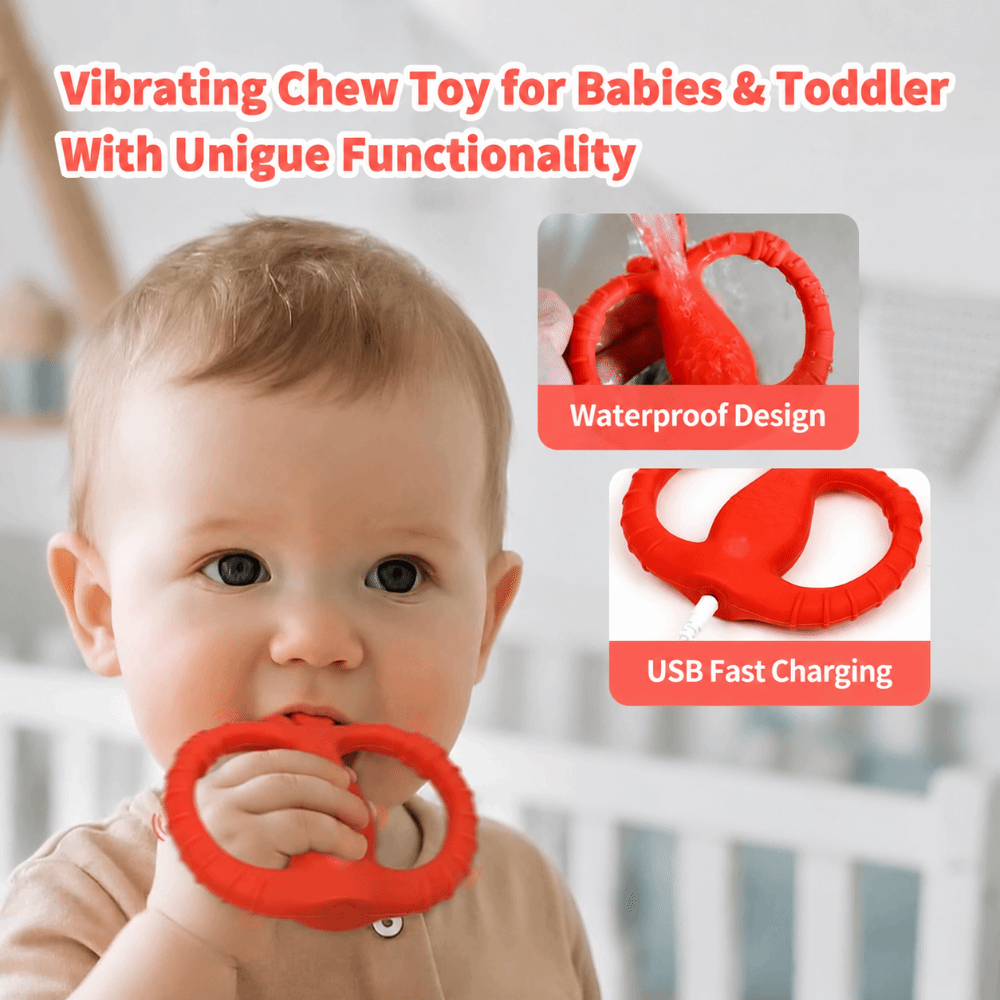 Vibrierender Beißring in Fruch – Baby Food Usa Bewertung und Preis