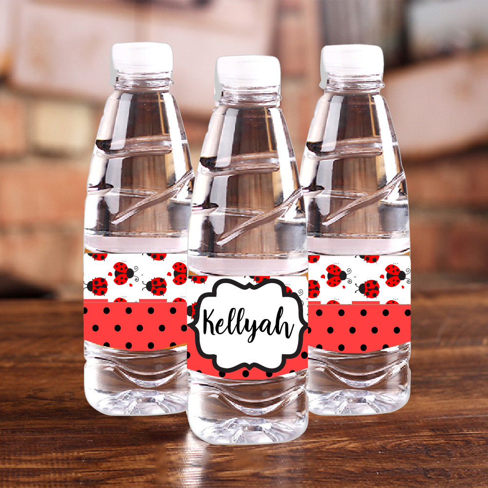 Personalisierte Marienkäfer Ro – Baby Food Bottle Bewertung und Preis