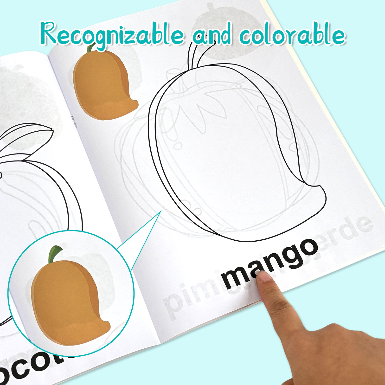 4er-Pack spanische Vokabel-Mal – Baby Food Age Bewertung und Preis