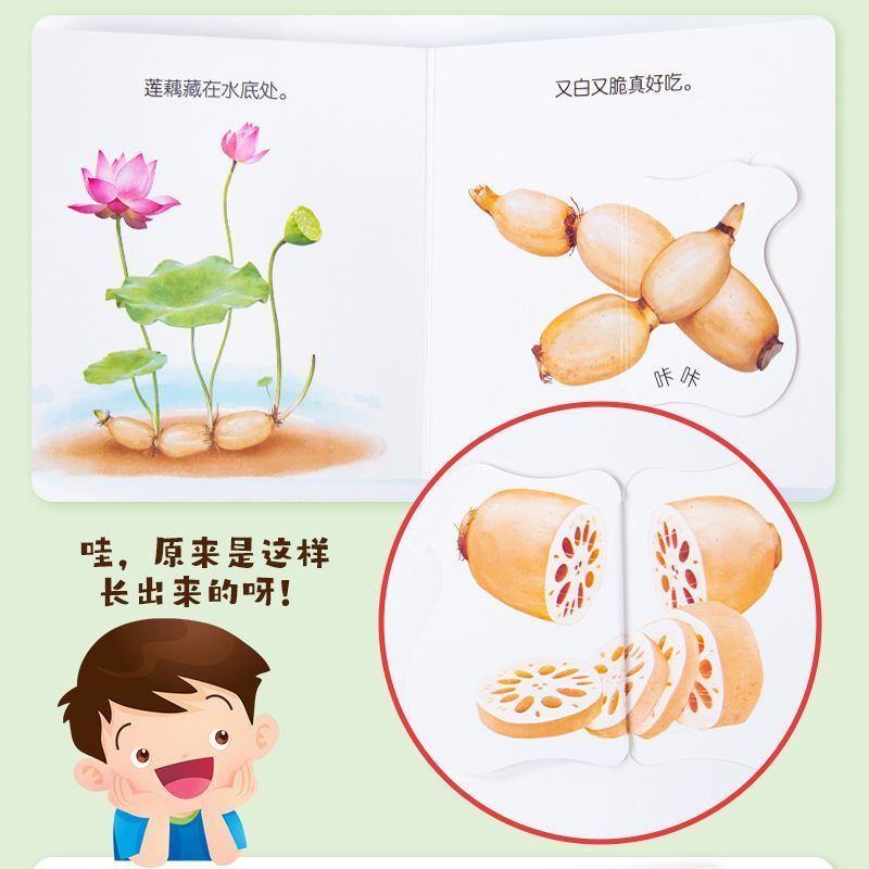 Flipbook zur Bildung von Säugl – Baby Food Age Bewertung und Preis