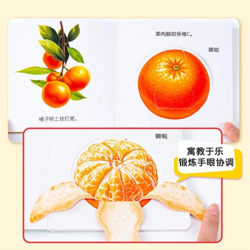 Flipbook zur Bildung von Säugl – Baby Food Age Bewertung und Preis
